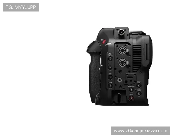 尊龙电脑版官方下载最新版本，安全稳定支持多平台畅玩体验