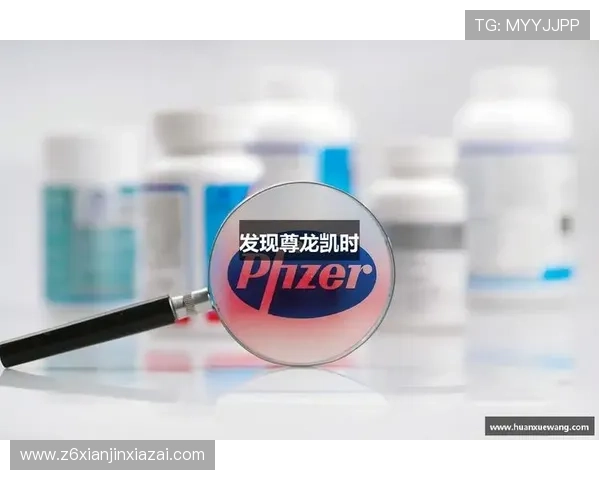 凯时集团网址导航大全帮助用户快速找到官方入口与最新动态
